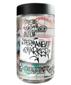 Permanent Marker 10g
