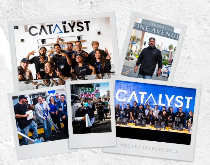 CATALYST BELLFLOWER