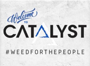 CATALYST BELLFLOWER